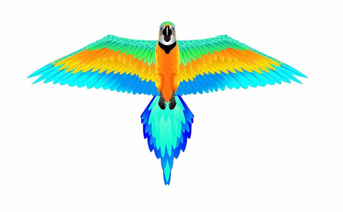 44" Macaw Rainforest Kite - ProKitesUSA