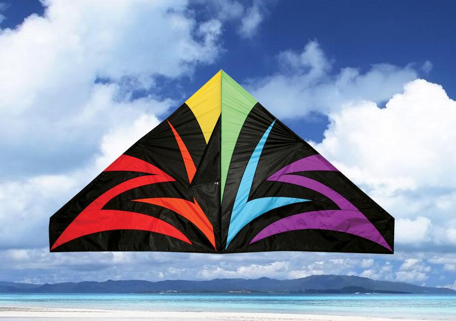 55" Black Lightning Delta Kite Pro Kites USA