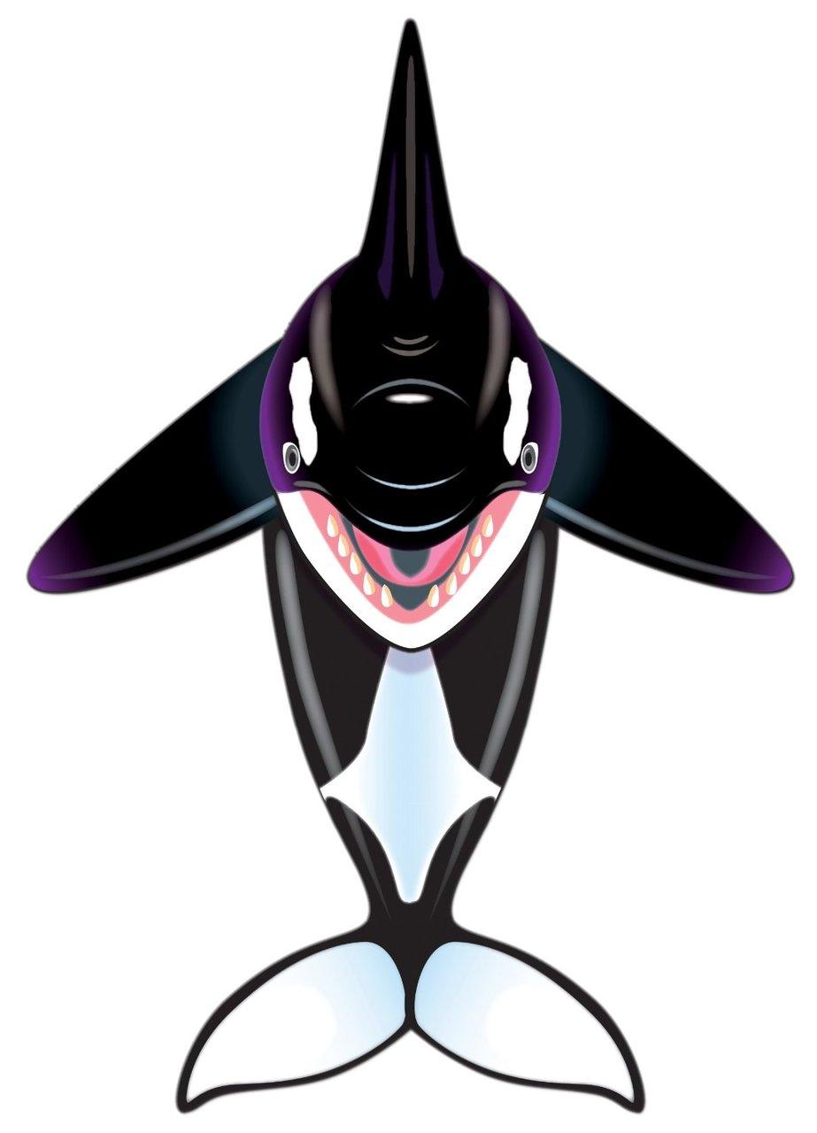 57" Orca Whale  Kite - ProKitesUSA