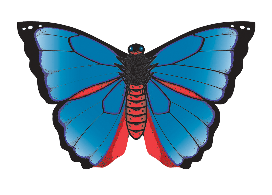 32" Karner Blue Butterfly Kite - ProKitesUSA