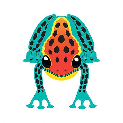 11" Treefrog Kite - ProKitesUSA