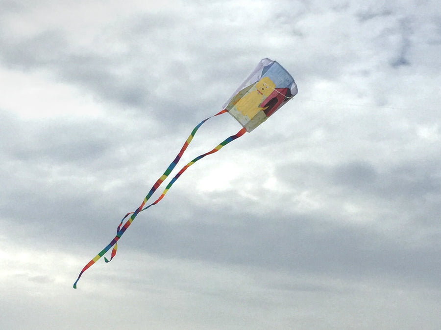Coloring Sled 18" Kite