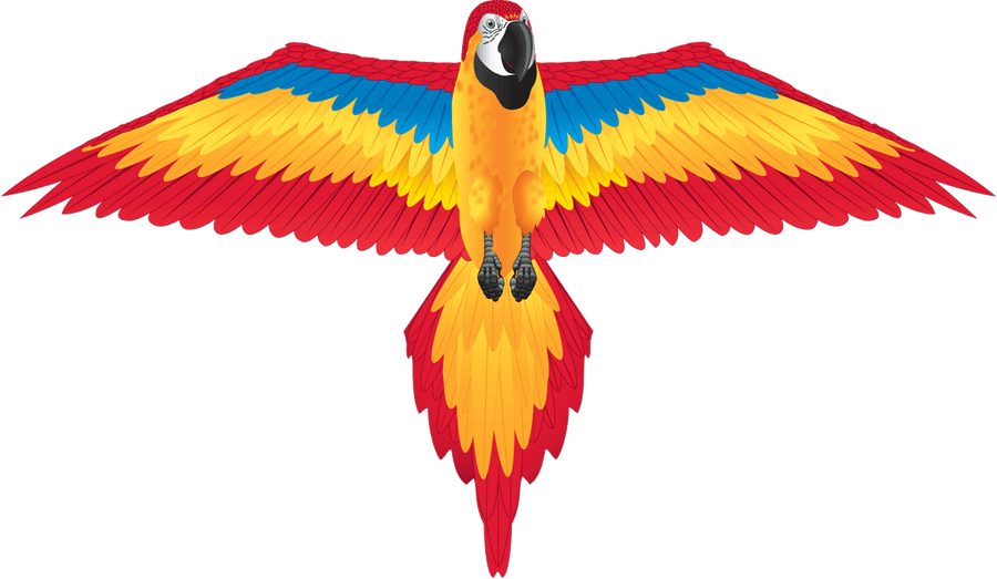 70" Macaw Windzone Kite - ProKitesUSA