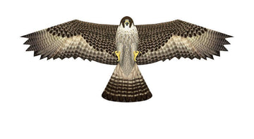 48" Falcon Kite - ProKitesUSA